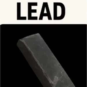 10K Lead