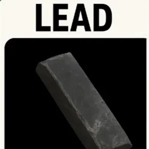 10000 Lead