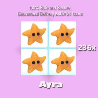 236x Star Fish