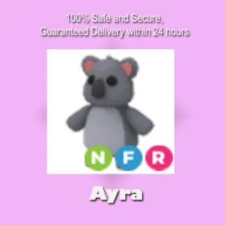 NFR Koala