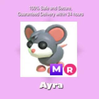 MR Mouse