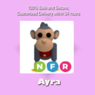 NFR Toy Monkey