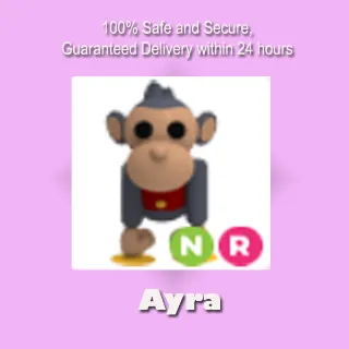 NR Toy Monkey