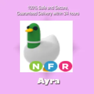 NFR Silly Duck