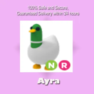 NR Silly Duck