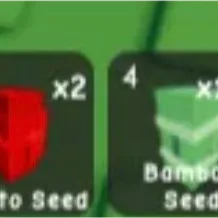 rainbow seed