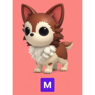 Mega Chihuahua