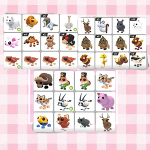 Pet Bundle !