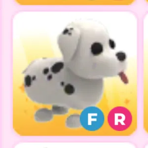 FR Dalmatian