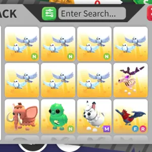 Pet bundle X 12