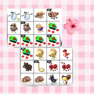 pet bundle!