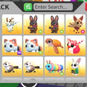 Pet Bundle  X12!