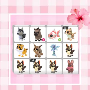 Pet Bundle!
