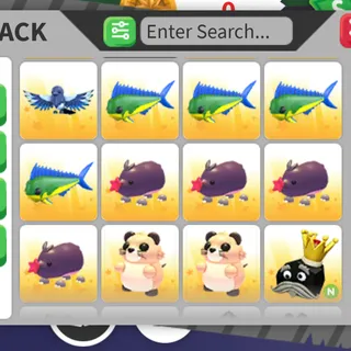 pet bundle X 12