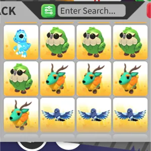 pet bundle X 12