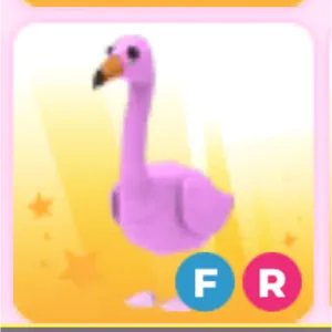 fr Flamingo