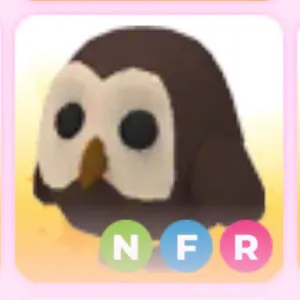 NFR Owl Adopt me