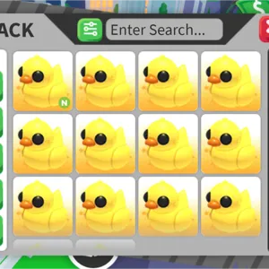 pet bundle adopt me 12x
