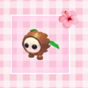 coconut friend no pot