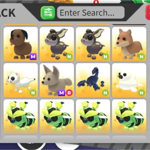 pet bundle X12