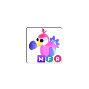MFR dodo pet