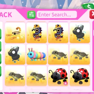 24x random pet bundle