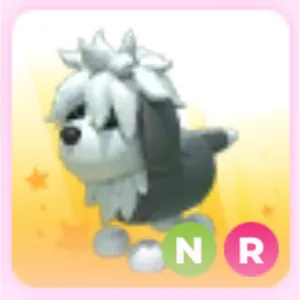 NR English sheepdog