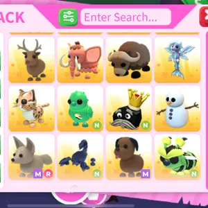 BUNDLE PETS 12X