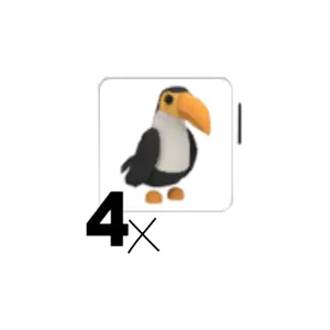 4x Toucan Pet