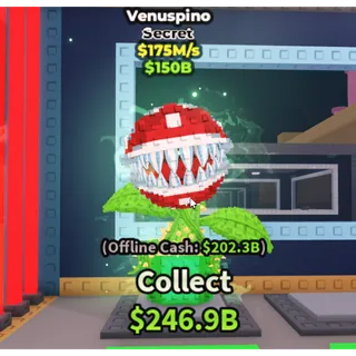 Venuspino (175M/s)