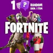 Fortnite 1 Skin/item