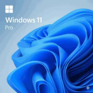 Windows 11 Pro