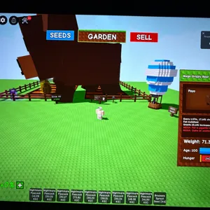 CUTE BIG GRIZZLY BEAR