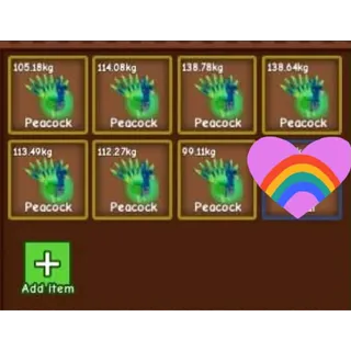 TITANIC - COLLOSAL PEACOCK 99KG - 130KG+BUNDLE