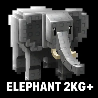 5X ELEPHANT 2KG+ 