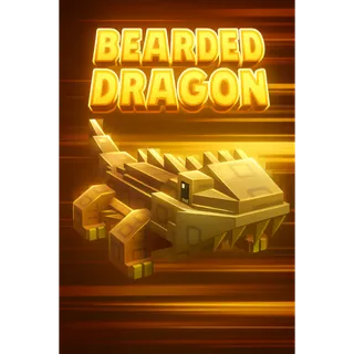 2X BEARDED DRAGON