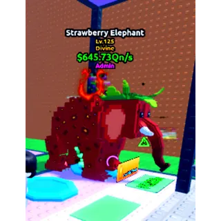 ADMIN STRAWBERRY ELEPHANT 645QN/S (MAX LVL)