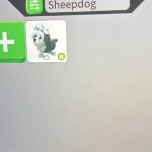 NEON ENGLISH SHEEPDOG