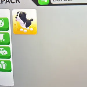 No pot border collie