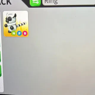 NFR RINGTAILED-LEMUR