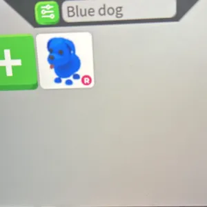 R blue dog