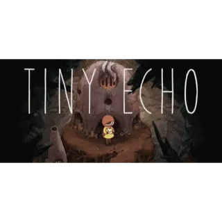  	 Tiny Echo