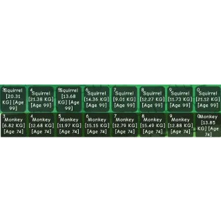 Squirrel Age 99 x1 | Monkey Age 74 x1