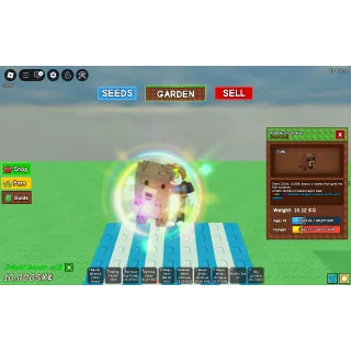 Rainbow Grizzly Bear