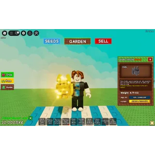 Golden Chinchilla Age99