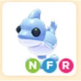 Nfr shark puppy 