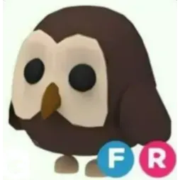 FR Owl