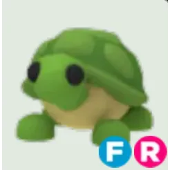 FR Turtle