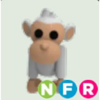 NFR Albino Monkey