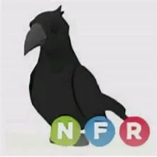 NFR Crow